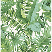 Cargar imagen en el visor de la galería, Maui