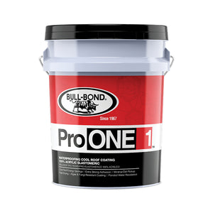 PRO ONE
