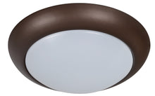 Cargar imagen en el visor de la galería, Lámpara de techo (21621)
